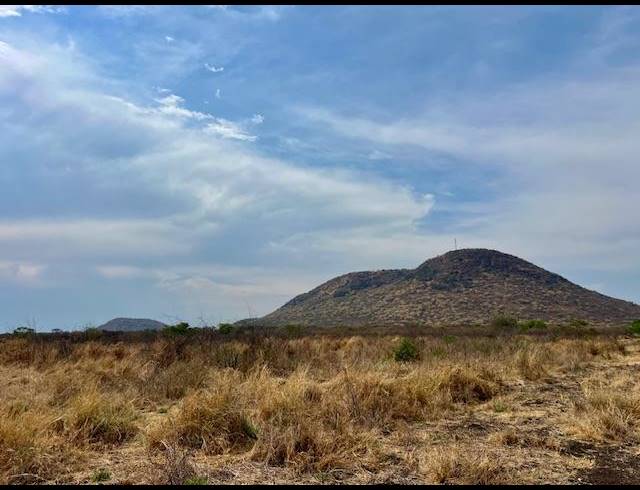 FARM FOR SALE IN DWAALBOOM